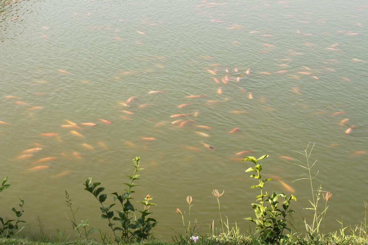 Menam Resort Nakhon Pathom Dış mekan fotoğraf